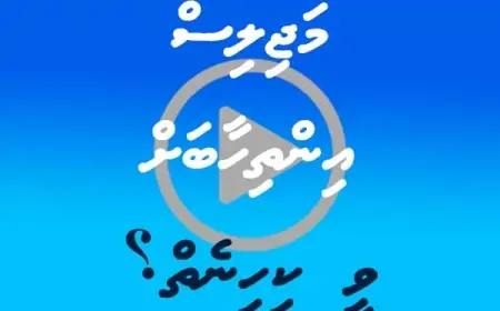 މަޖިލިސް އިންތިހާބަށް ވީ ކިހިނެތް؟